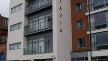 100 0080 listing