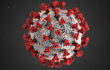 Coronavirus gallery thumb