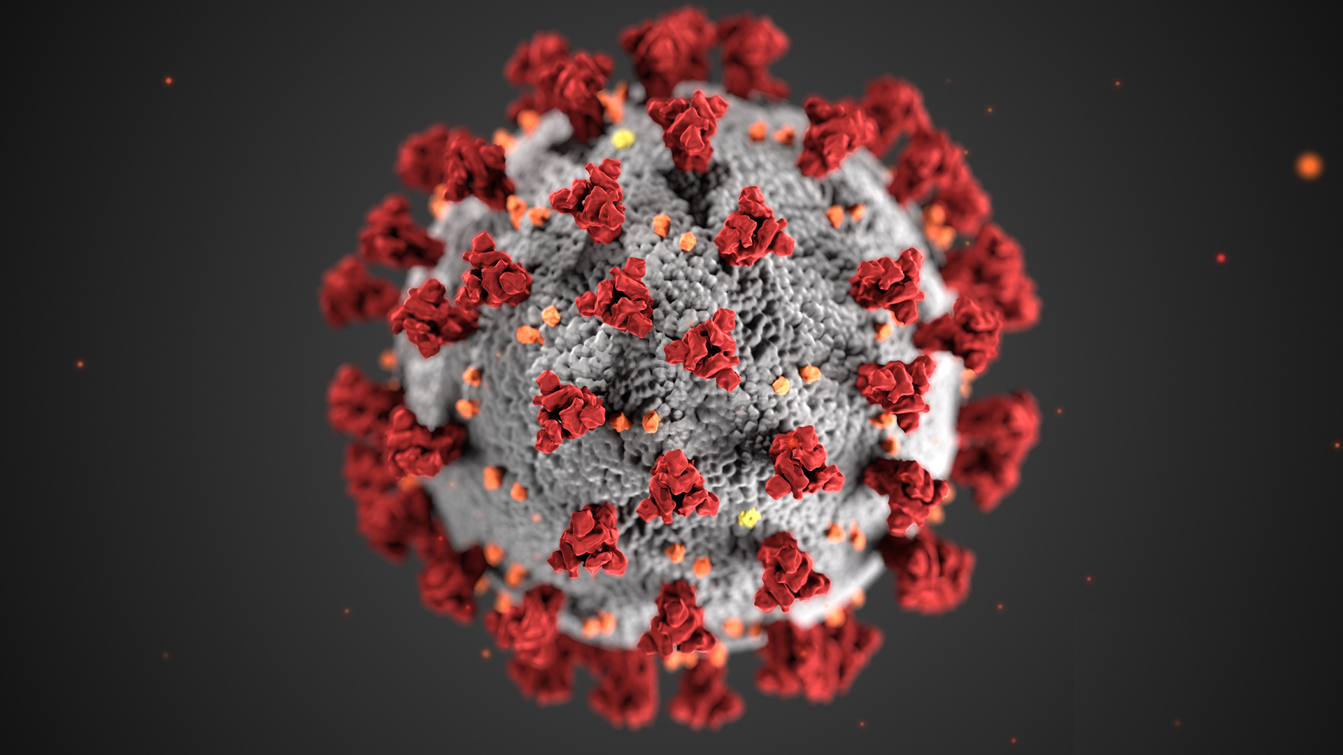 Coronavirus original