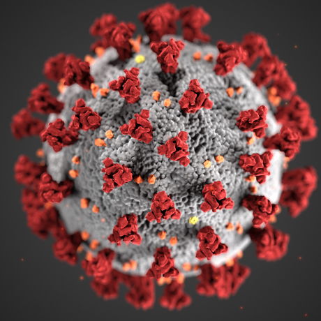 Coronavirus signpost square